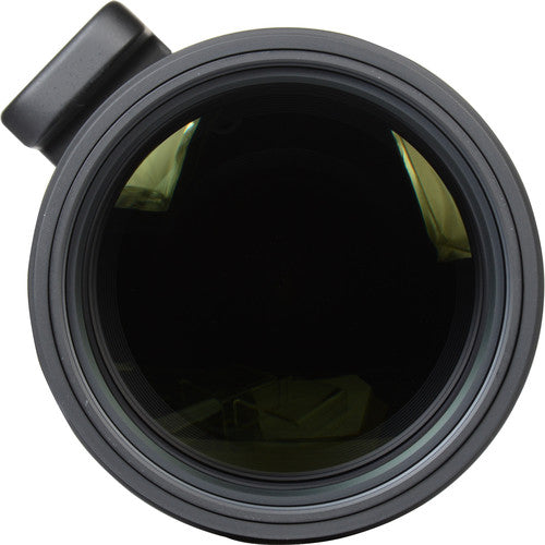 Sigma 150-600mm f/5-6.3 Canon EF ( NEUF ) - Motion19 — vue 5