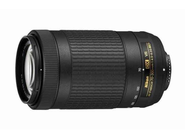 Objectif Nikon AF-P DX NIKKOR 70-300 mm f/4.5-6.3G ED VR objectif photo - Motion19