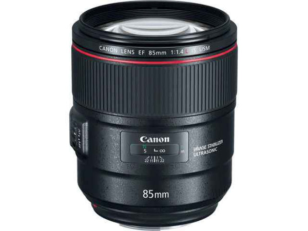 Canon EF 85mm F/1.4 L IS USM optique photo - Motion19