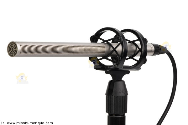 Rode microphone canon NTG-3 Microphone vidéo directionnel ( précommand –  Motion19