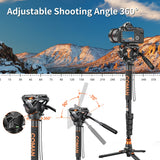 COMAN DK327AQ6 - Monopode Vidéo avec Tête Fluide Q6 et Base Trépied — miniature 7