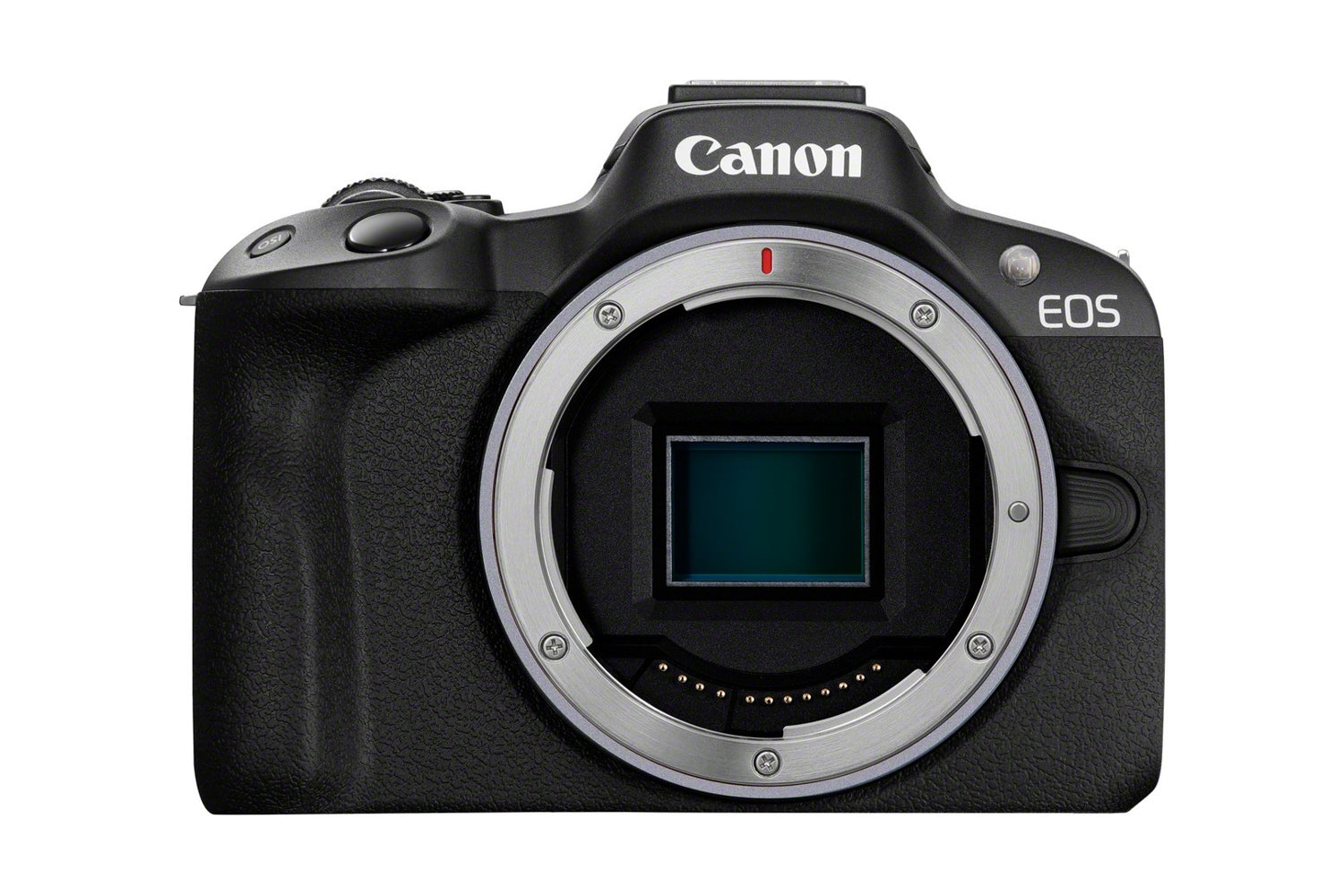 Canon R50 avec objectif RF-S 18-45mm f/4.5-6.3 IS STM - Motion19 — vue 2