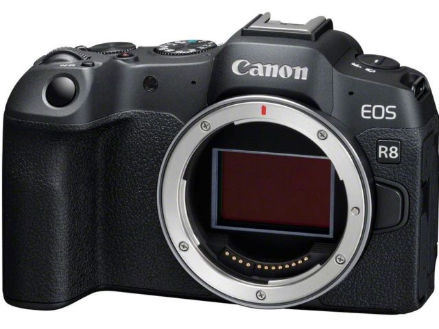 Canon Eos R8 + RF 24-50mm - Motion19 — vue 9
