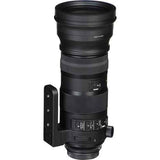 Sigma 150-600mm f/5-6.3  Canon EF - Motion19 — miniature 2