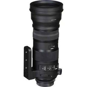 Sigma 150-600mm f/5-6.3  Canon EF - Motion19 — miniature 2