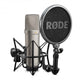 Micro Rode NT1-A