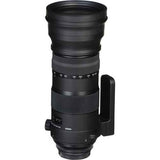 Sigma 150-600mm f/5-6.3  Canon EF - Motion19 — miniature 3