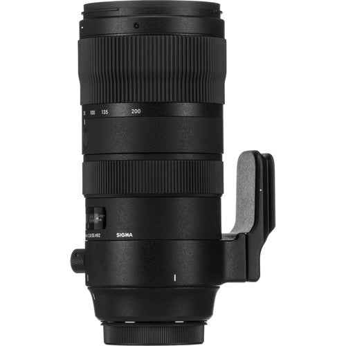 Sigma 150-600mm f/5-6.3 Nikon F - Motion19 — vue 2