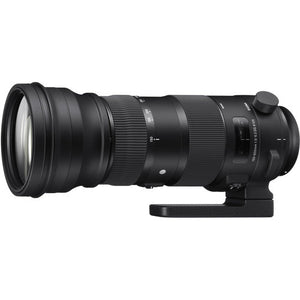 Sigma 150-600mm f/5-6.3  Canon EF ( NEUF ) - Motion19 — miniature 4