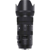 Sigma 150-600mm f/5-6.3 Nikon F - Motion19 — miniature 3