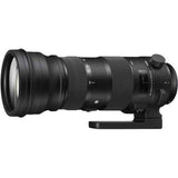 Sigma 150-600mm f/5-6.3  Canon EF - Motion19 — miniature 4