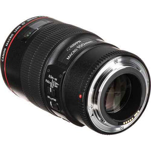 Canon EF 100mm f/2.8L Macro - Motion19 — miniature 4