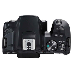 Canon Eos 250D + 18-55mm - Motion19 — miniature 4