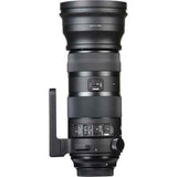 Sigma 150-600mm f/5-6.3  Canon EF - Motion19 — miniature 1