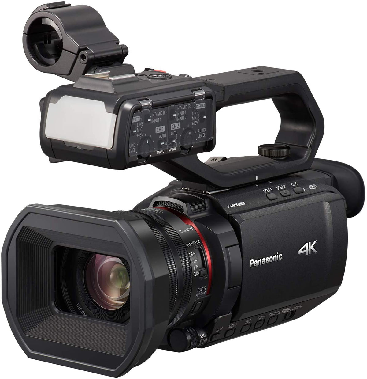 Panasonic X2000 - Motion19