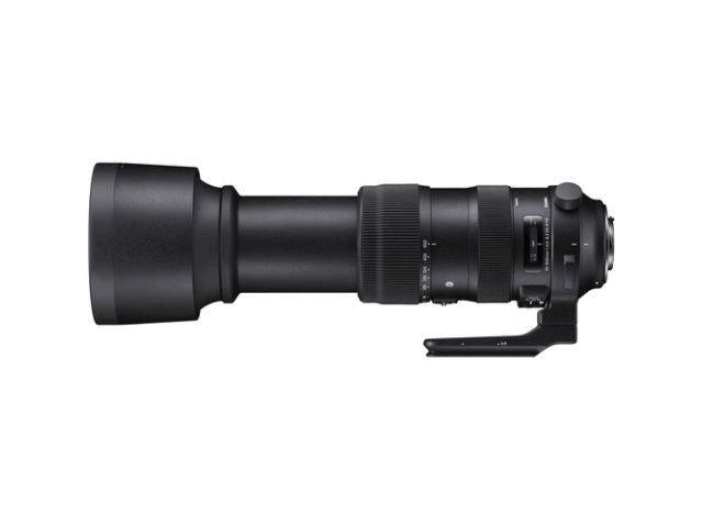Sigma 60-600mm f/4.5-6.3 DG OS HSM Sports monture CANON objectif photo   (Précommande)